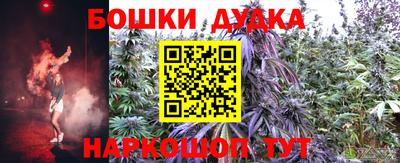 apvp Кингисепп