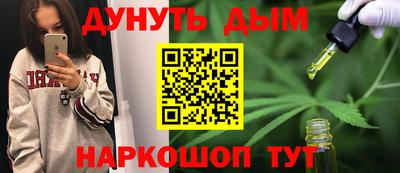 apvp Кингисепп