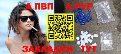 apvp Кингисепп