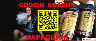 apvp Кингисепп