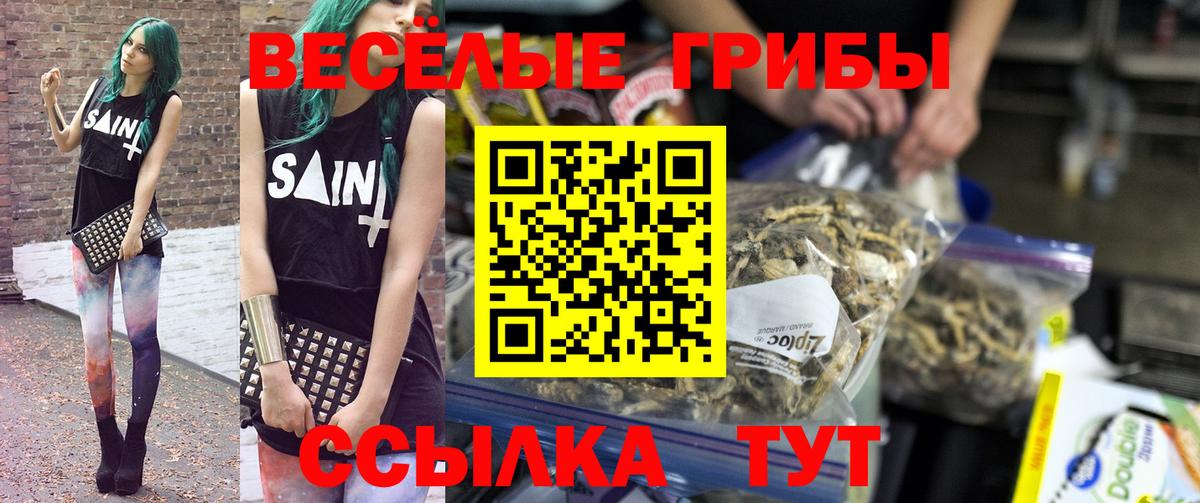 Галлюциногенные грибы мухоморы  Вход с VPN  Новокубанск 