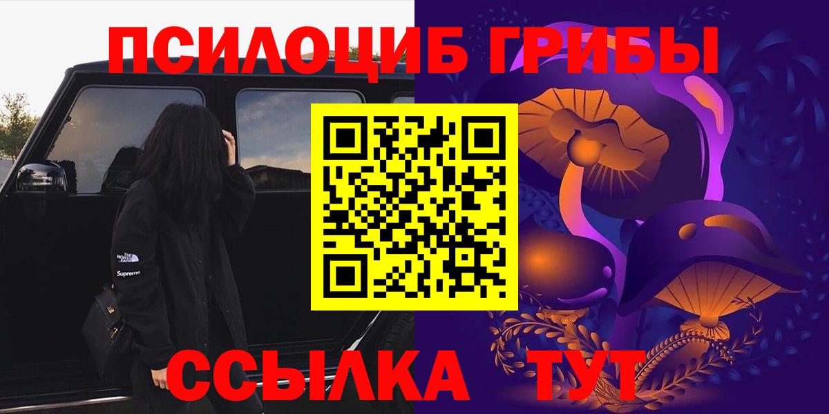 Псилоцибиновые грибы Cubensis Новокубанск